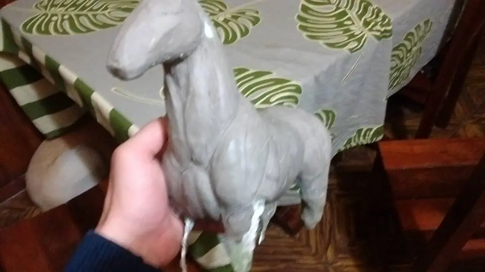 horse