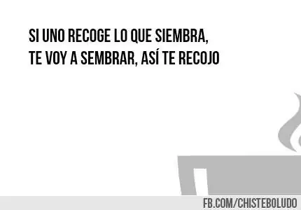Pasa 50 chistes parte 2....si te reis +5