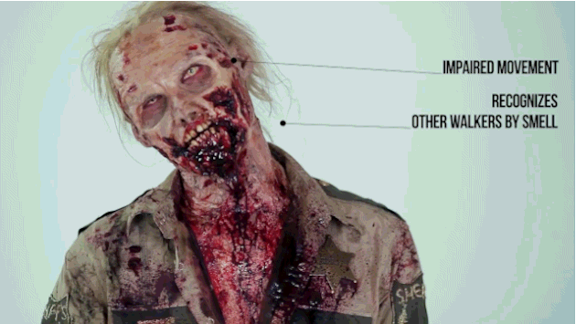 100 Años de evolución zombie