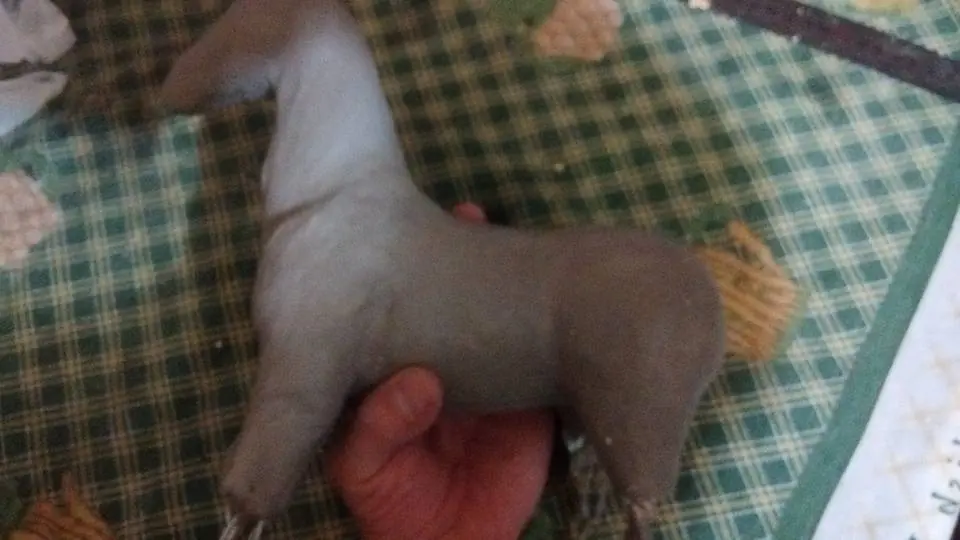 escultura