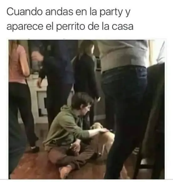 humor