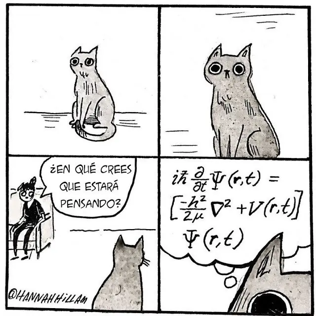 Humor de Martes 06/12/2016