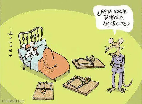 Humor de Martes 06/12/2016