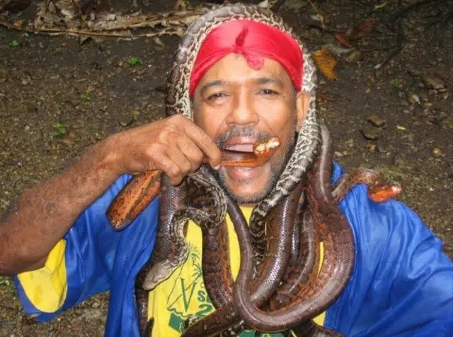 fotos
