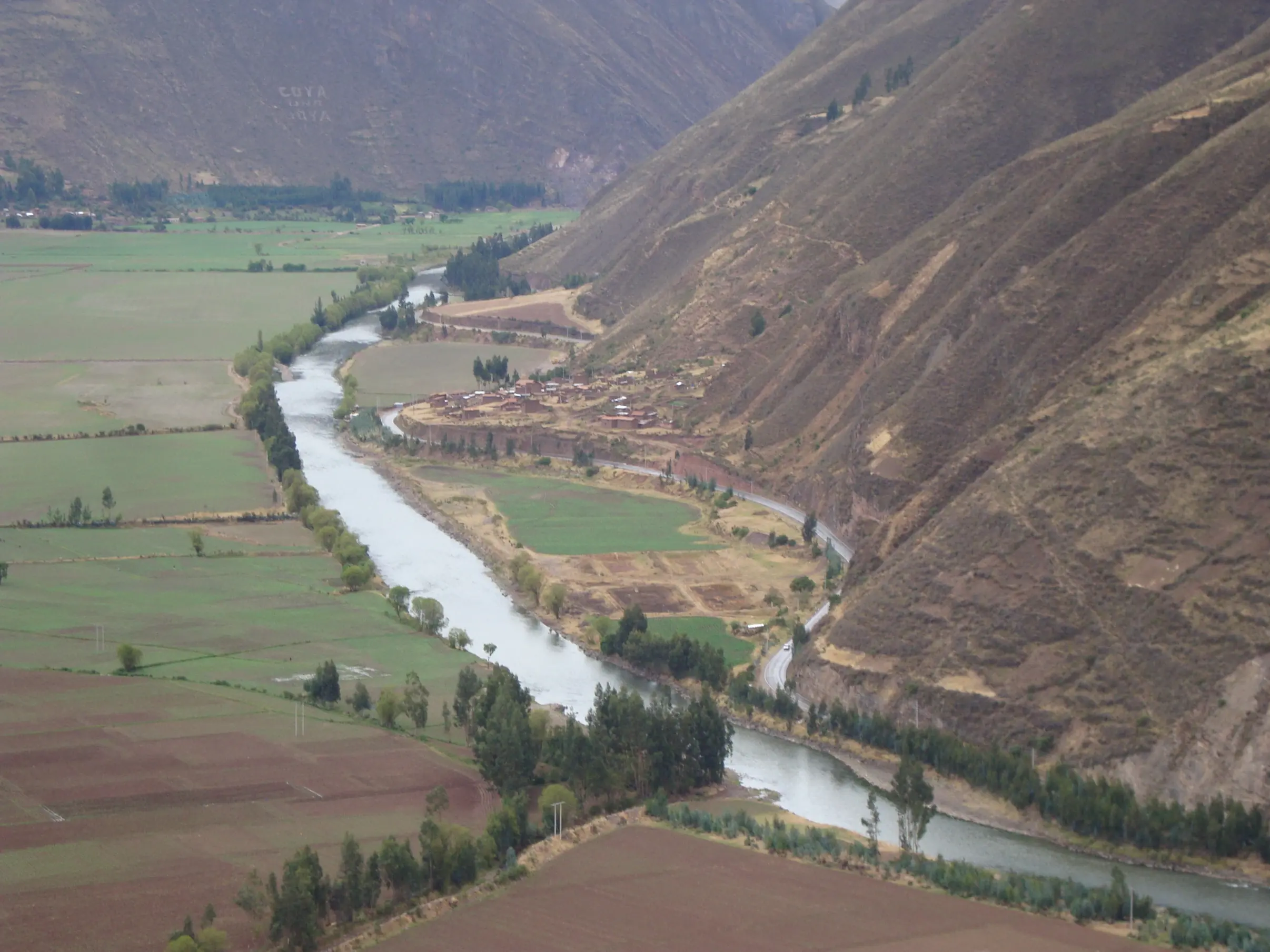 maras