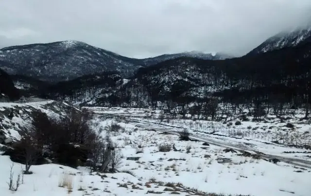 Leonardo DiCaprio llegó a Ushuaia para filmar