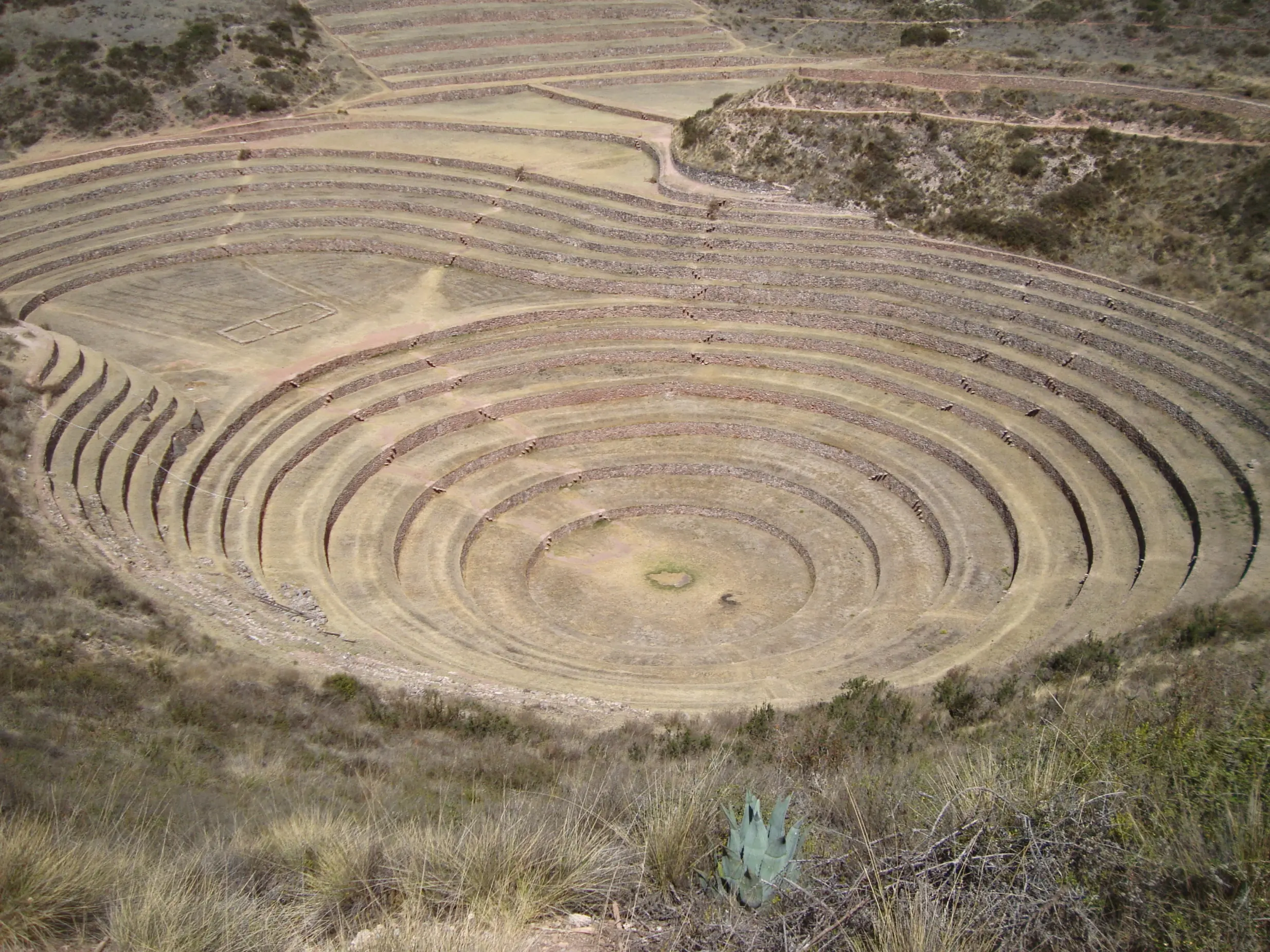 Moray Moray