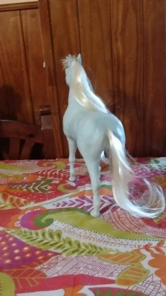caballo
