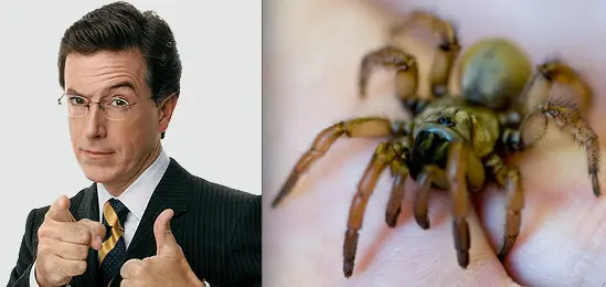 nueva especie nueva especie