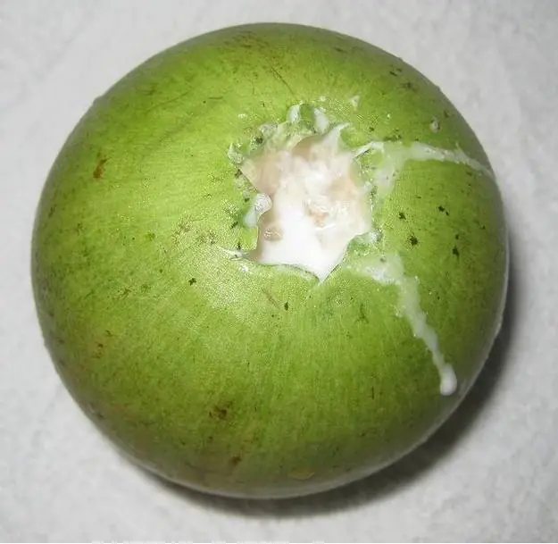 frutas