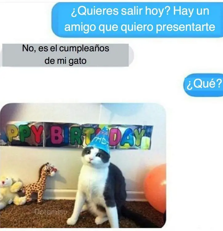 imagenes divertidas