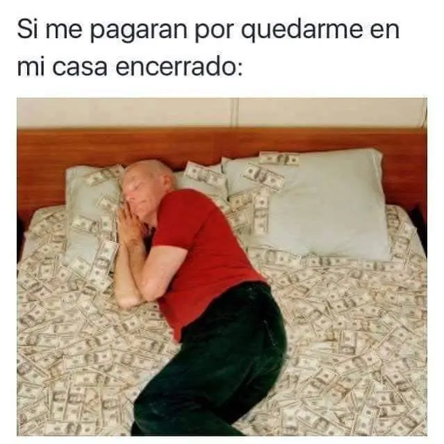 imagenes divertidas
