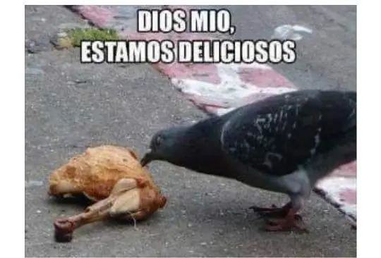 Humor de Lunes