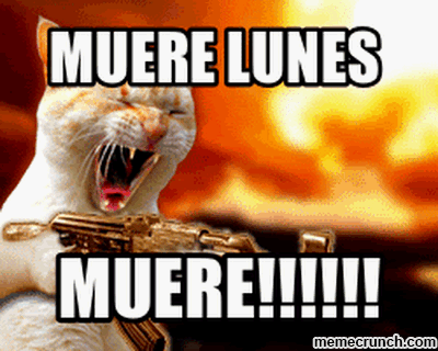 imagenes divertidas