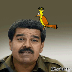 A VENEZUELA
