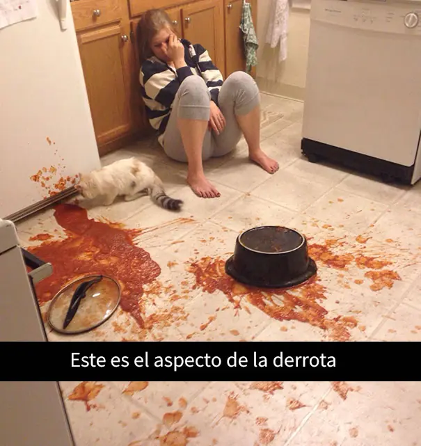 imagenes imagenes