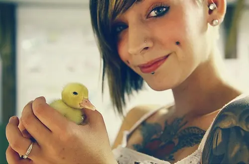 Piercing... cual prefieres?