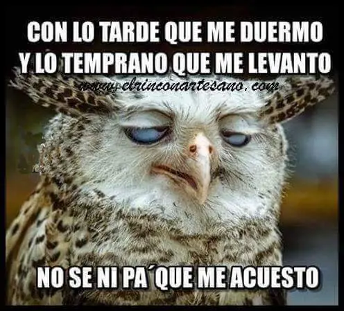 reite
