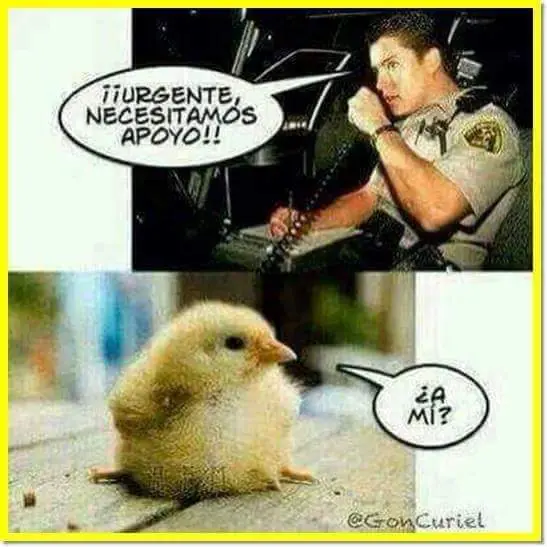 teries