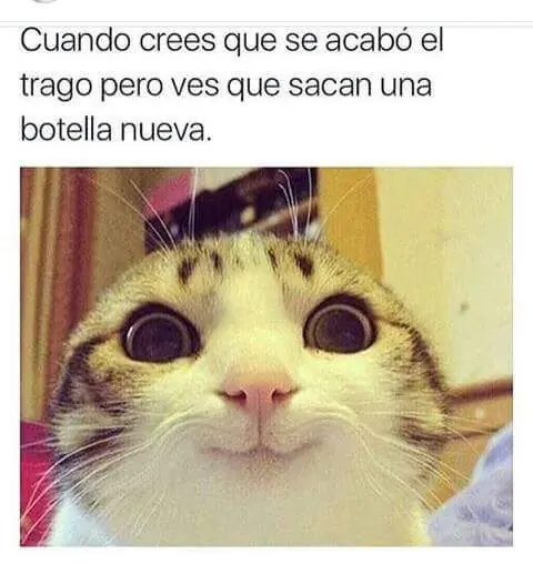 conestas