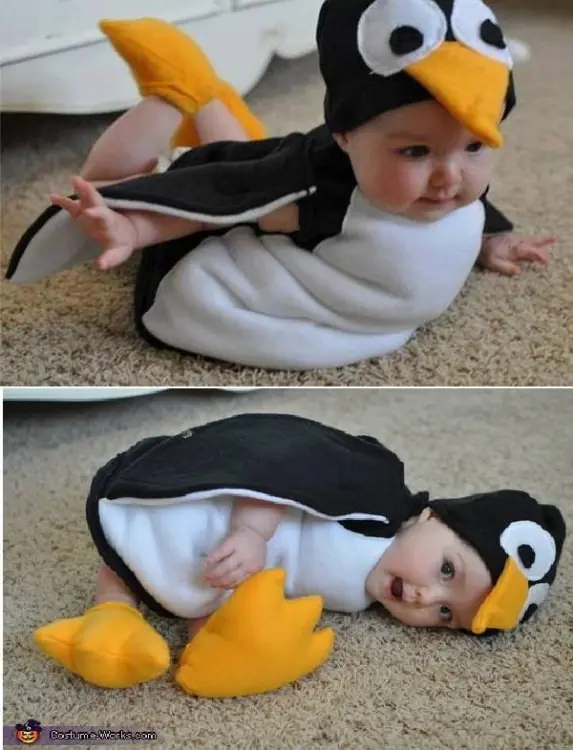 tiernos