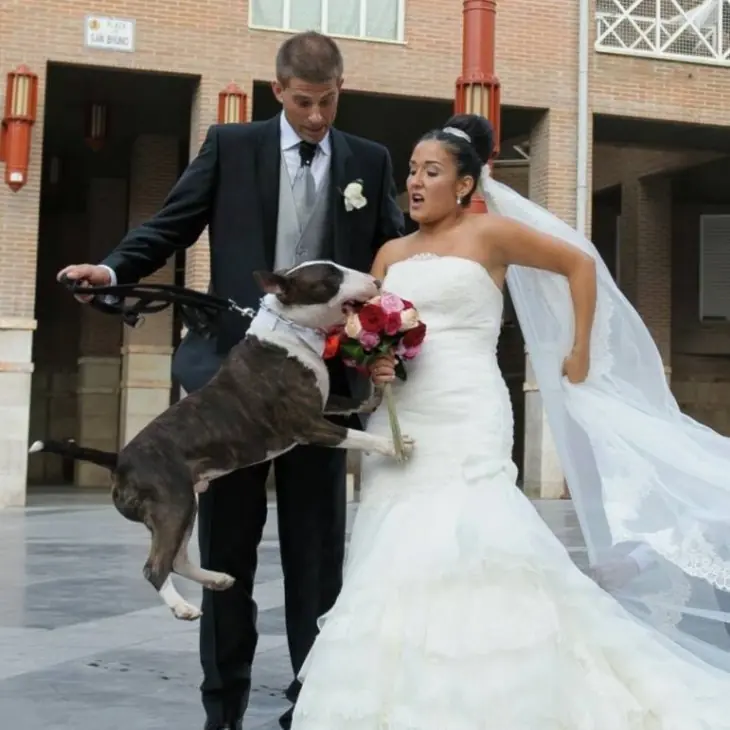 humor