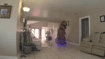 dino