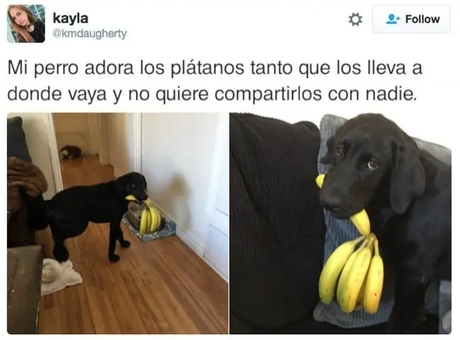 Fails de las redes sociales parte 28