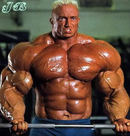 fitness fitness