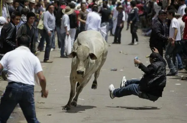 imagenes para reir