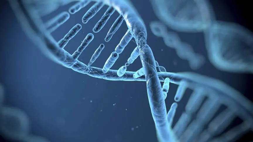 15 descubrimientos increíbles de la ciencia en 2016 15 descubrimientos increíbles de la ciencia en 2016