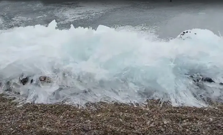 olas olas