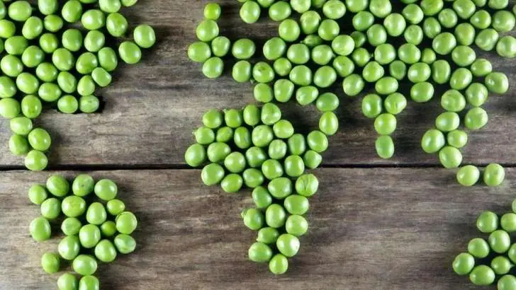 que pasaria si fueramos vegetarianos