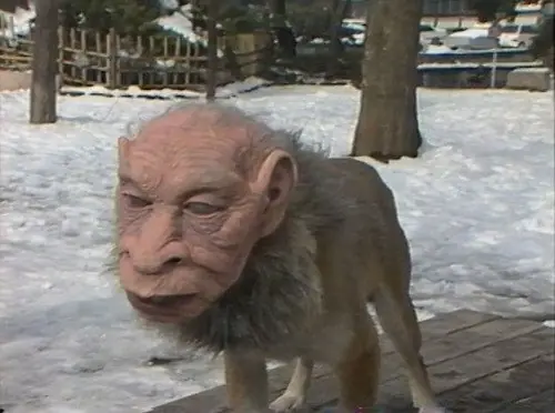 humanos