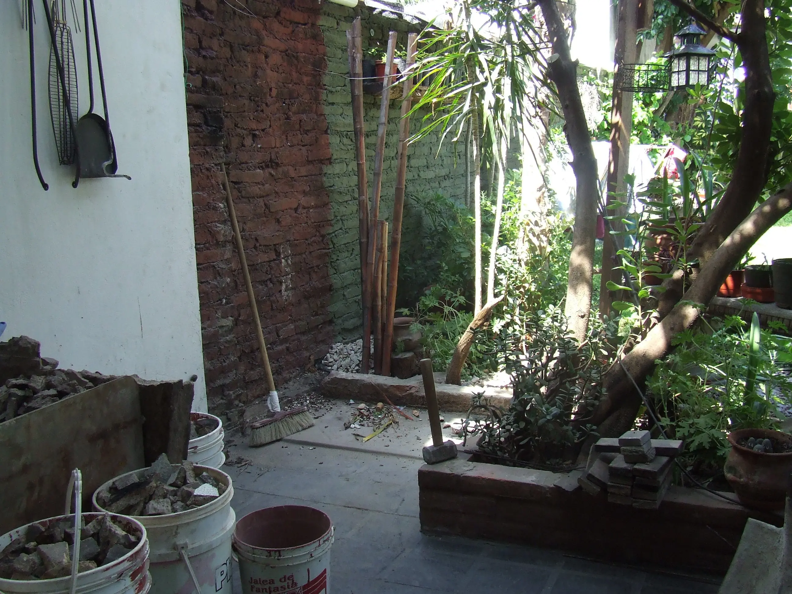 Jardin