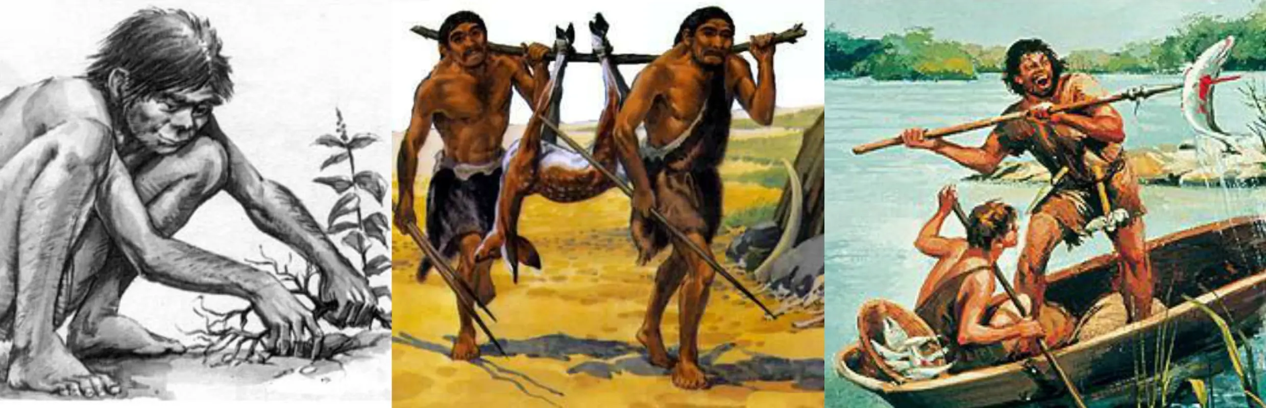 Civilizacion
