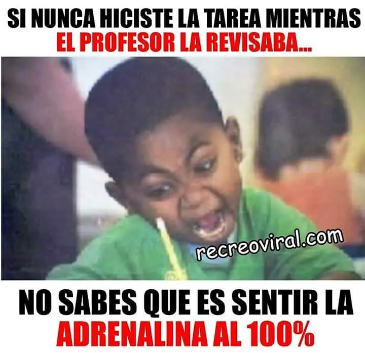 reite