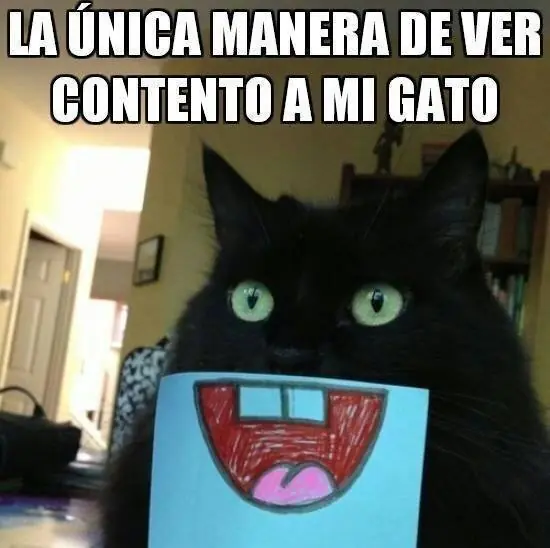 memes