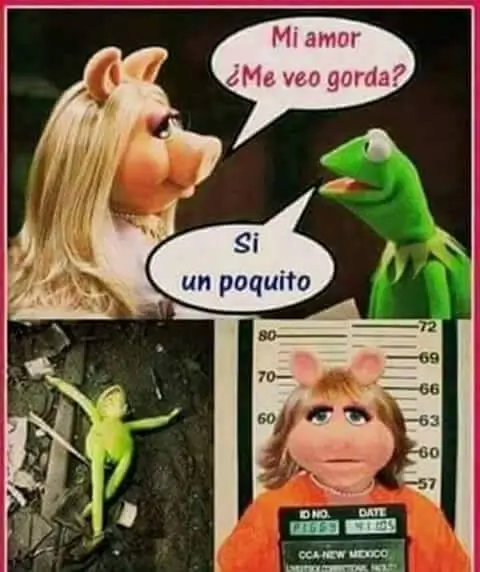 conestas