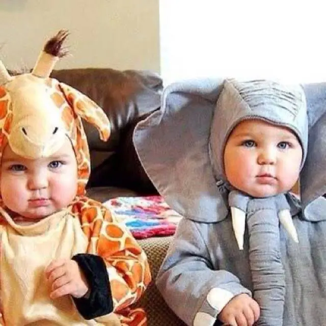 Animales