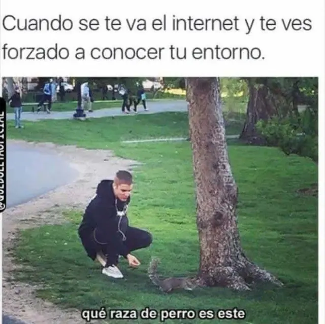 humor de sabado