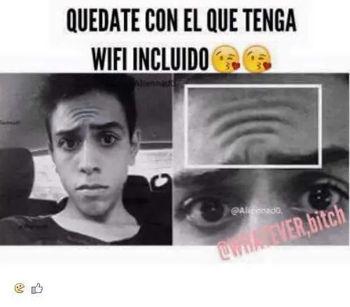 Si no te ries con estas imagenes denuncia rufian salu2