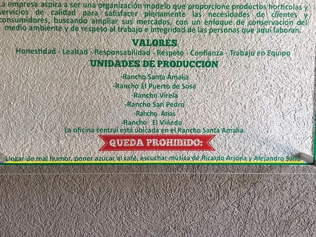 humor de sabado
