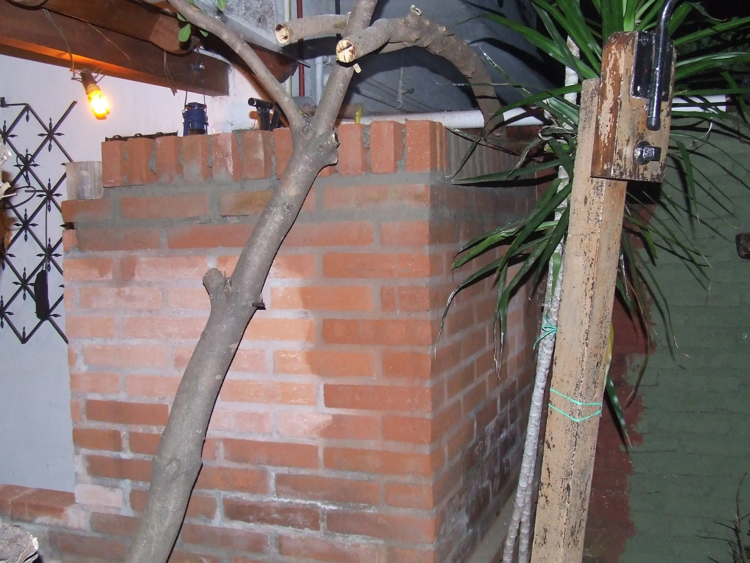 Asado