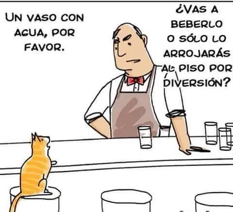 memes