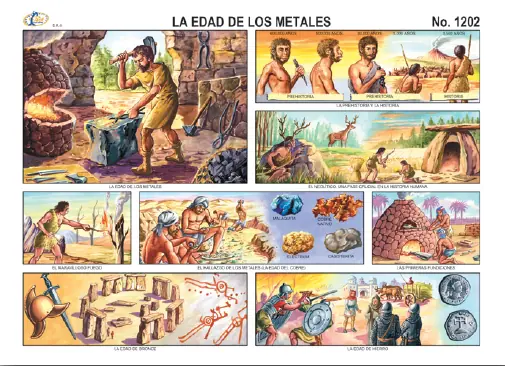 Humanidad