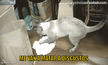 humor