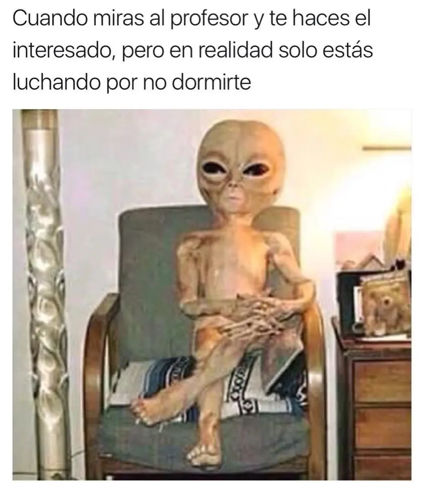 Imagenes de humor para linces nocturnos