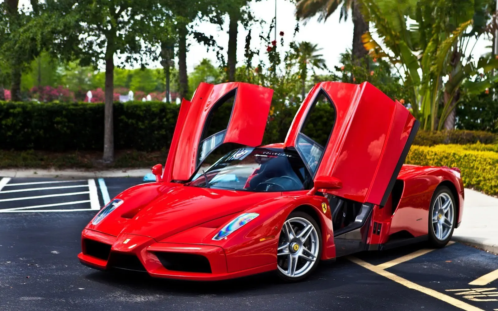 599 gto