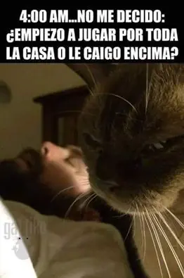 Lo mejor del humor mexicano parte 15